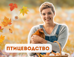 Птицеводство