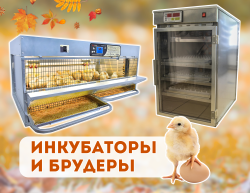 Инкубаторы и брудеры