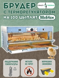Брудеры для утят  