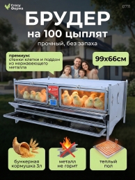 Брудеры для утят  